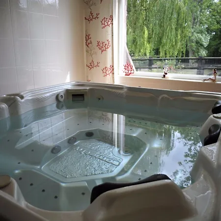 Domaine De La Mare Elan 3*